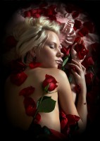 /album/galeria-de-fotos/ville-jpg/