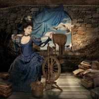 /album/galeria-de-fotos/ville8-jpg/