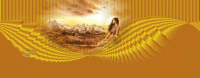 /album/imagens-headers/mar-luz-feedflex-gif/