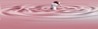 /album/imagens-headers/mar-luz-magical-jpg/