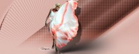 /album/imagens-headers/mar-luz-sadnes-jpg/