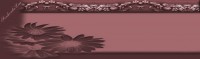 /album/imagens-headers/mar-luz-slnadia-jpg/