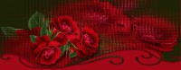 /album/imagens-headers/mar-luz-slrosas-jpg/