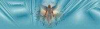 /album/imagens-headers/mar-luz-suavidade2-jpg/