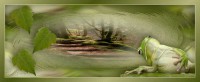 /album/imagens-headers/villecabe44-jpeg1/