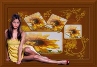 /album/imagens/a49-jpg/